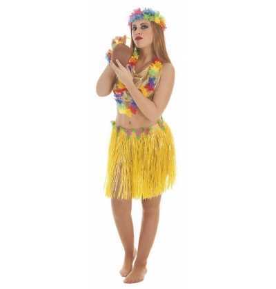 Comprar Disfraz de Hawái Party