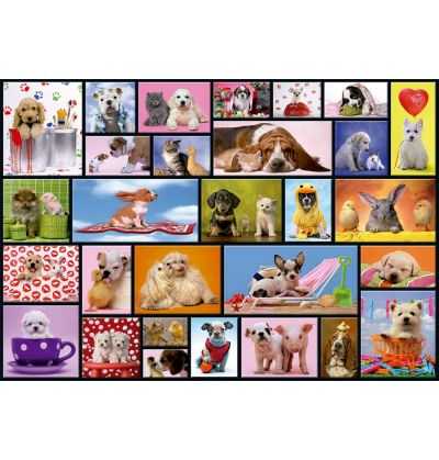 Comprar Puzzle 1000 piezas Momentos Compartidos Mascotas