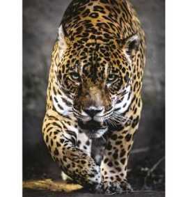Comprar Puzle 1000 Piezas paseo del Jaguar