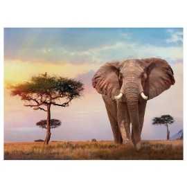 Oferta Puzzle 500 piezas Paisaje Africano al Atardecer con Elefante